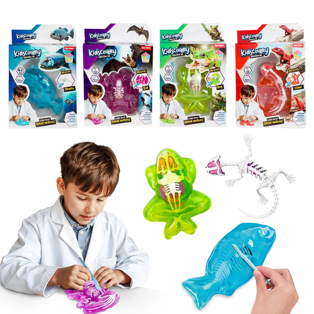 Toi-toys slijm uitgraafset dier met tool