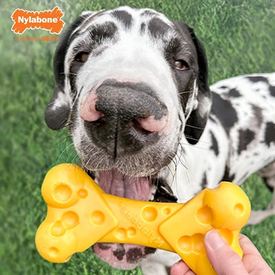Nylabone dura chew kaasbot