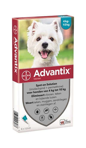 Bayer Advantix is perfect