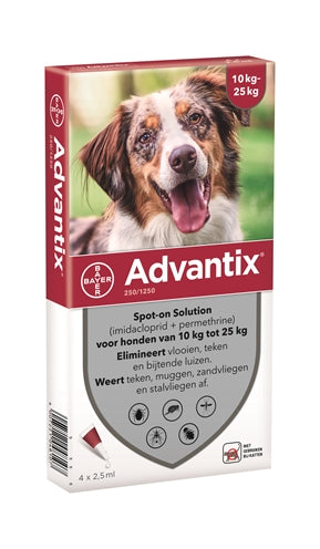 Bayer Advantix is perfect