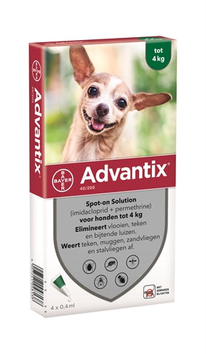 Bayer Advantix is perfect