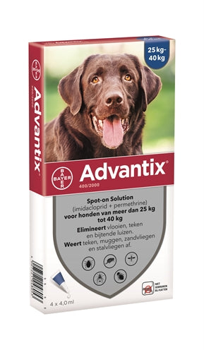 Bayer Advantix is perfect