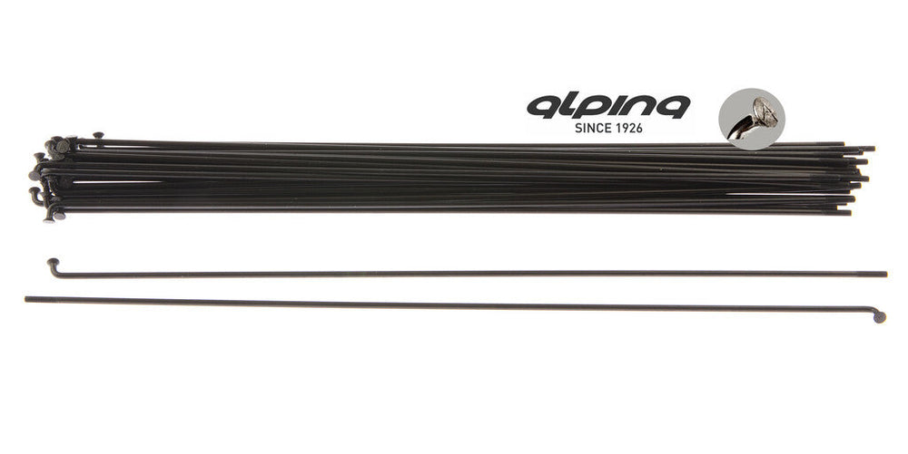 Buzaglo alpina spaak 13x292 zwart rvs