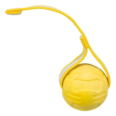 Trixie Sportbal aan lint voor drijvend assortiment