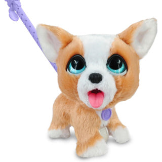 Spectron furreal poep een heleboel corgi