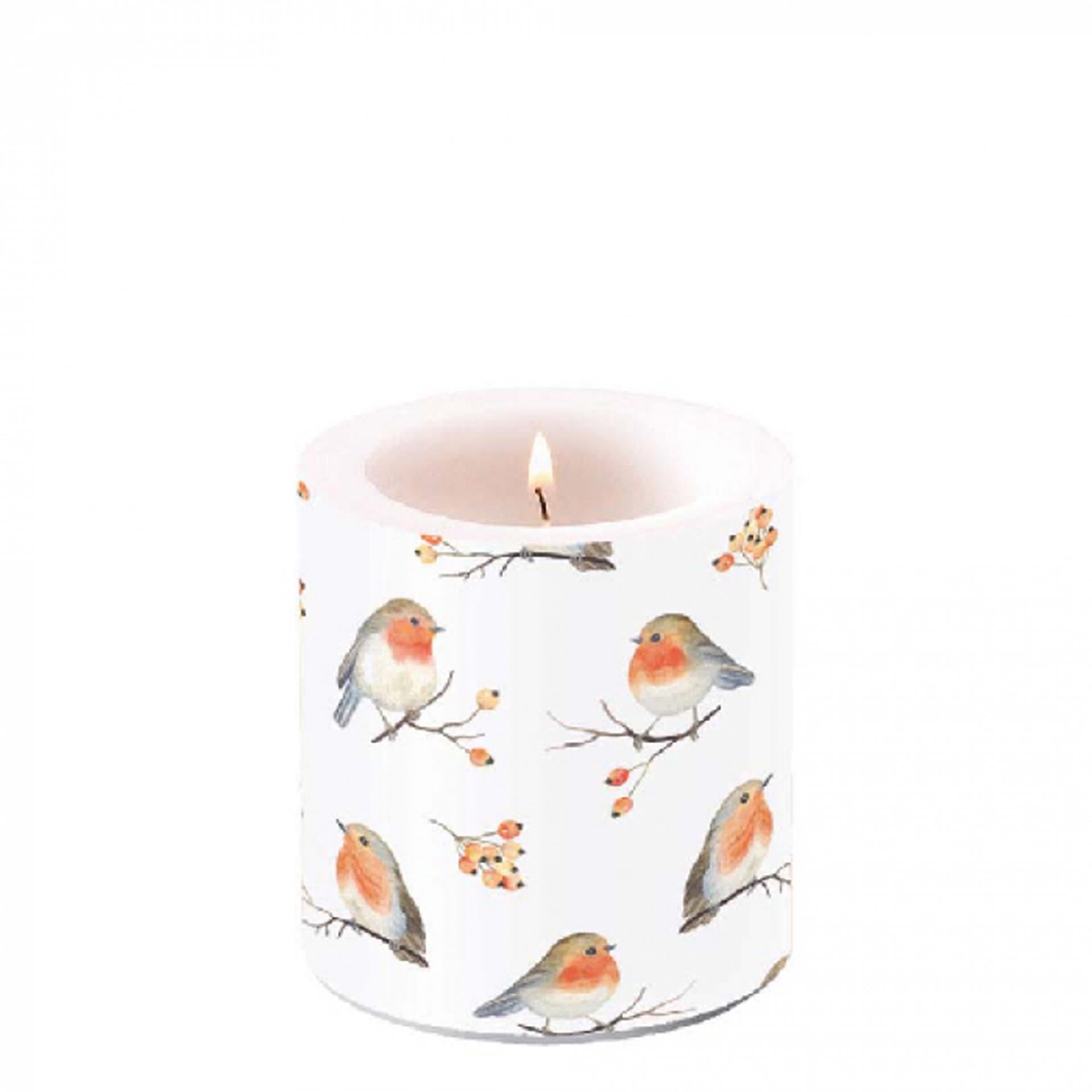 Ambiente kaars robin family