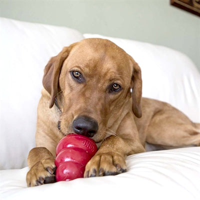 Kong snacks spek kaas