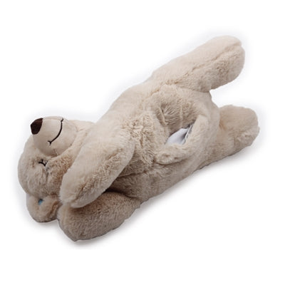 AFP little buddy warm bear