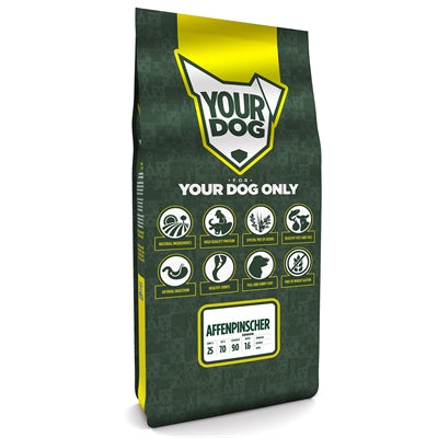 Uw hond affenpinscher senior