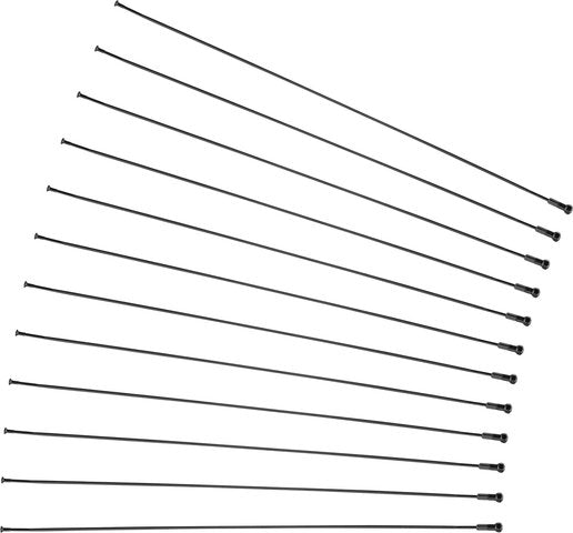 Mavic xa pro carbon 29 spare spokes - 2017-2018