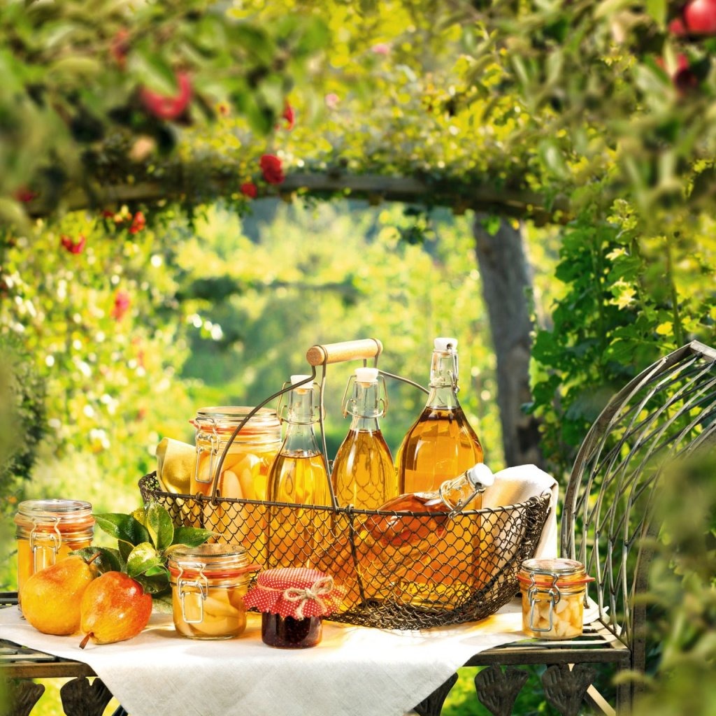 Leifheit 3187 ronde weckfles 500 ml glas rvs