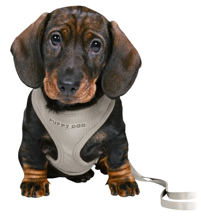 Trixie Junior puppytuig zacht met riem lichtgrijs