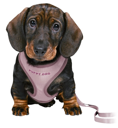 Trixie Junior puppytuig zacht met riem lila