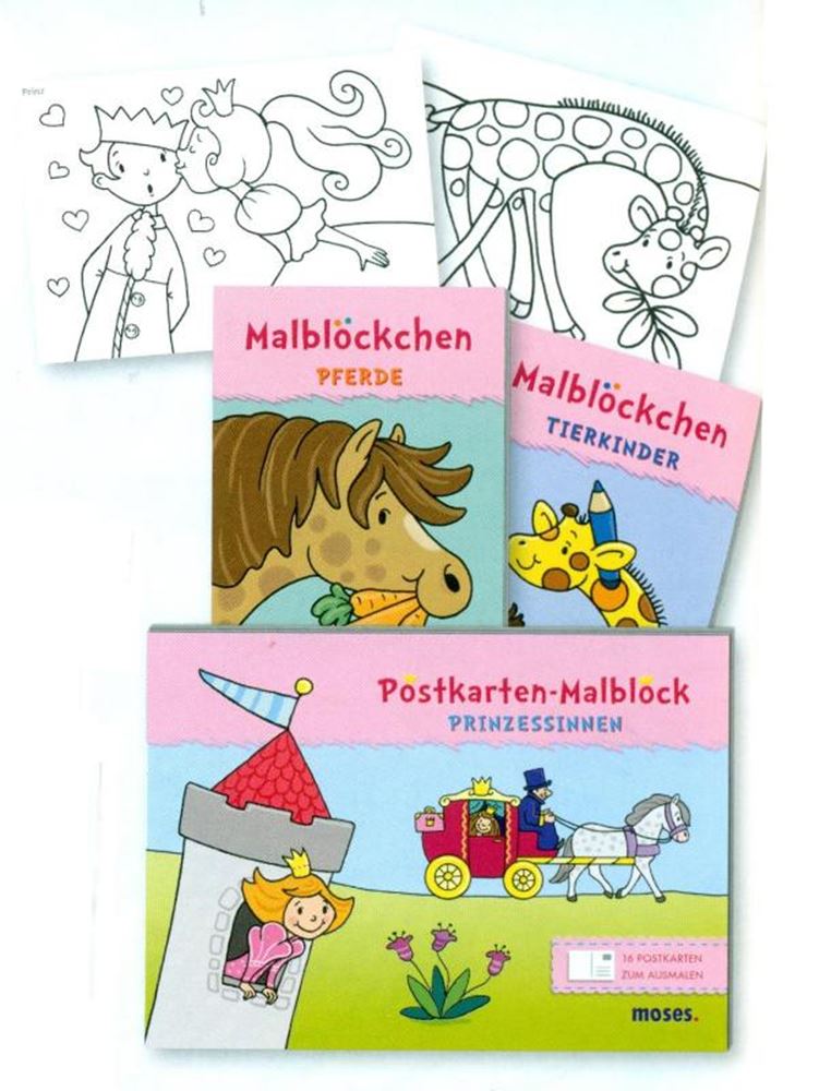 Dsp kleurblok voor meisjes, 2 ass (24 st