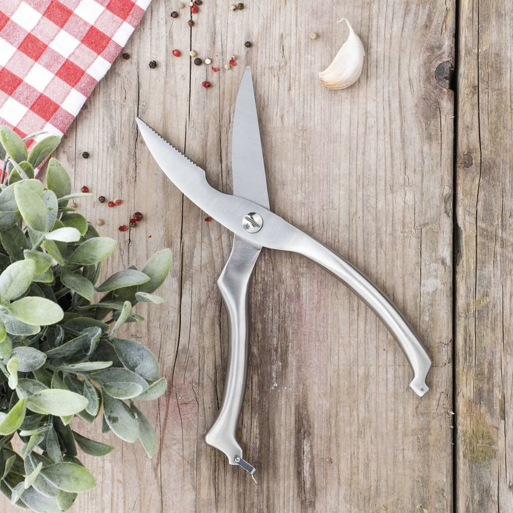 HI HI Gevogelteschaar 25 cm RVS