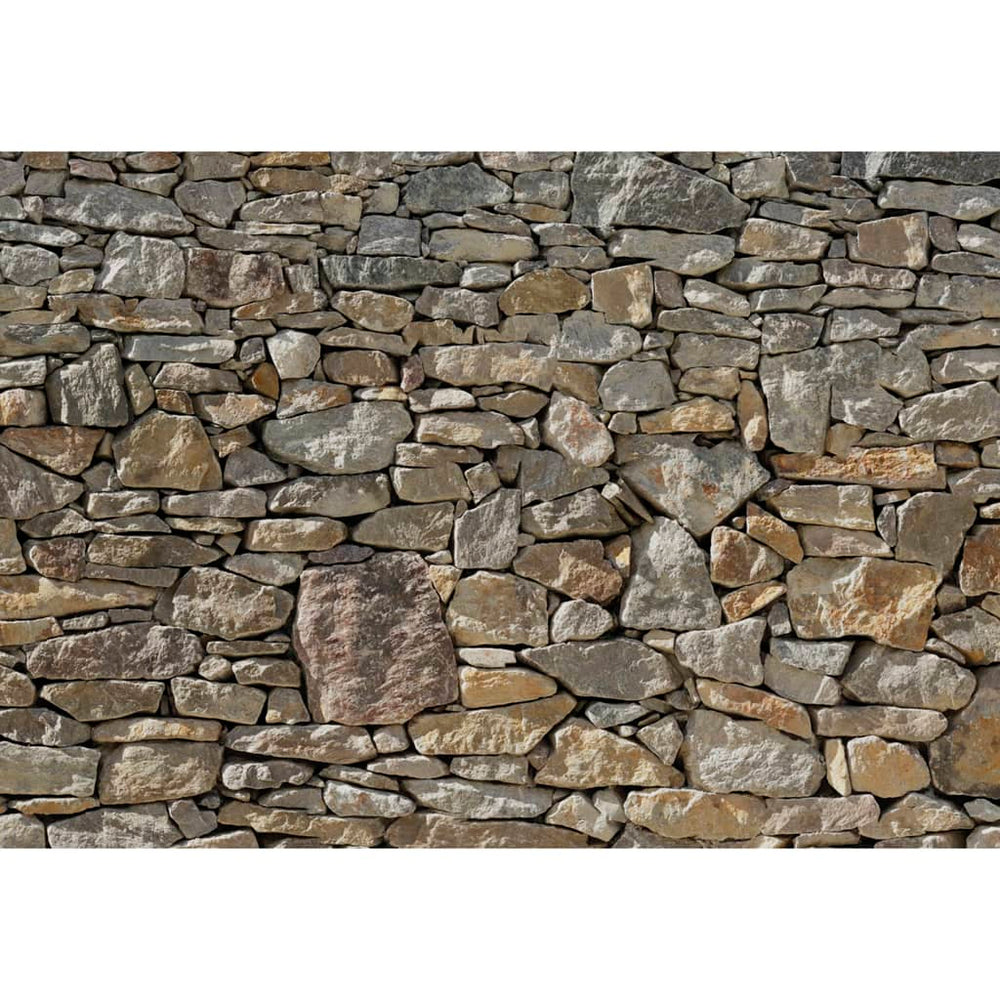 Komar fotobehang stenen muur 368x254 cm 8-727