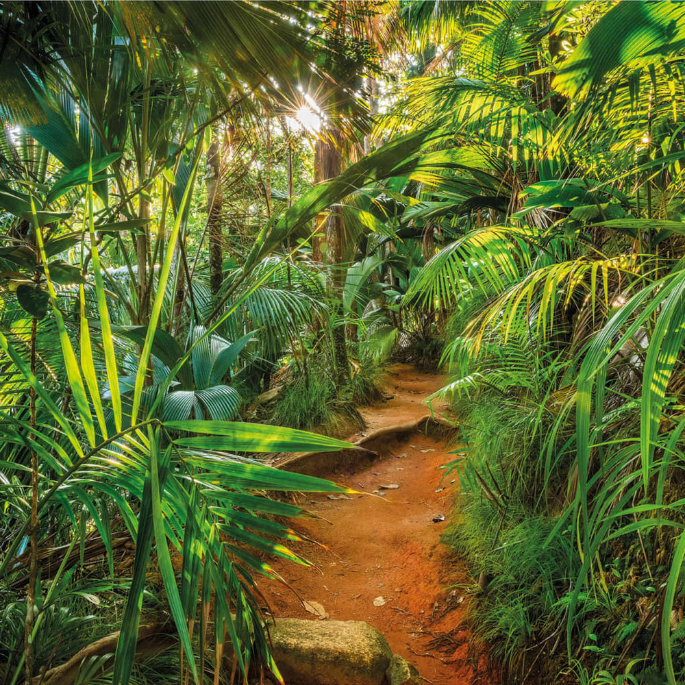 Komar fotobehang junglepad 368x254 cm