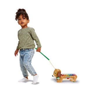 Vtech timmie teckel xylofoon