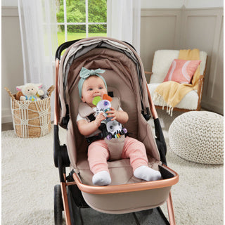 Vtech baby dierenvriendjes rammelaar zebra | 2 stuks