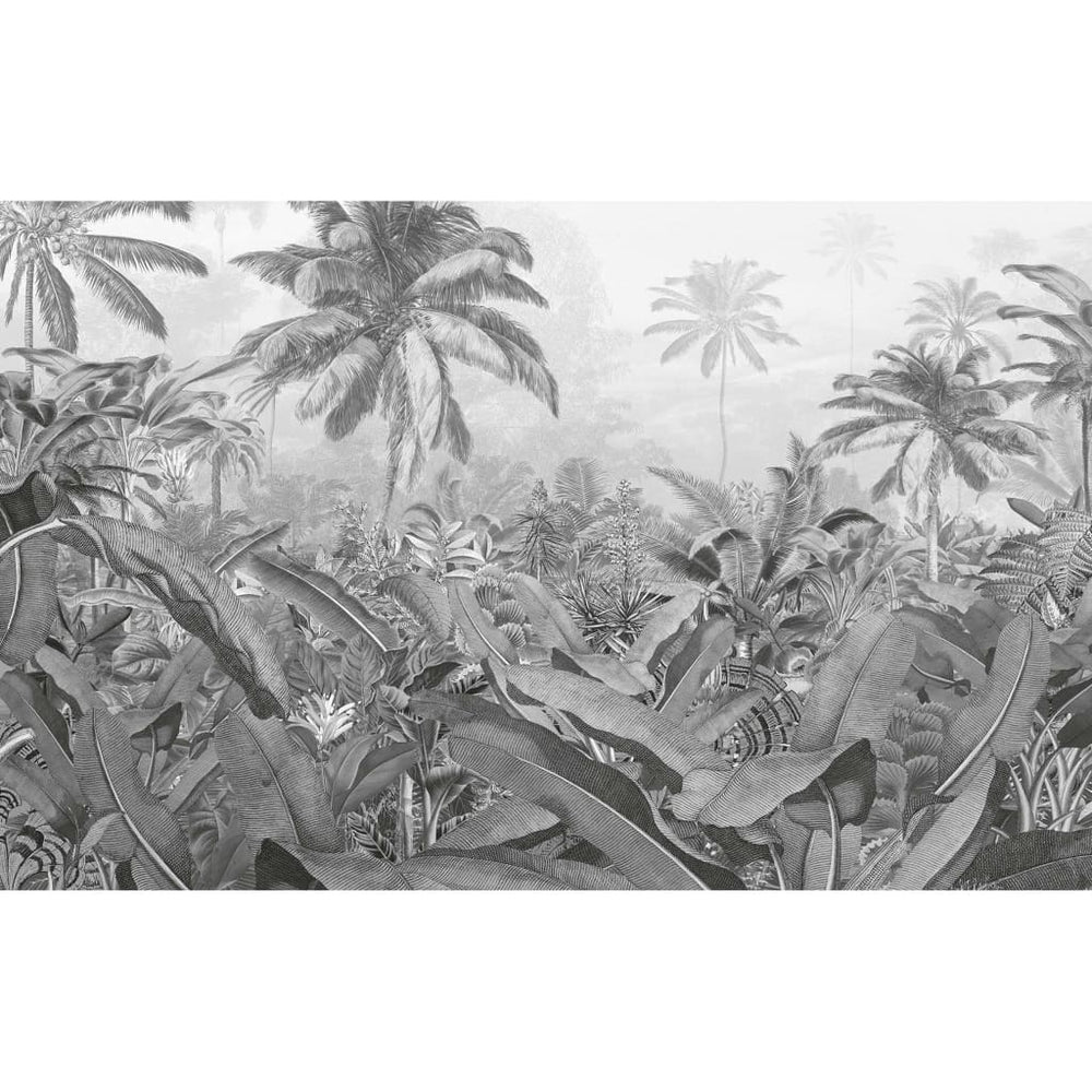 Komar Komar Fotobehang Amazonia Zwart-Wit 400x250 cm