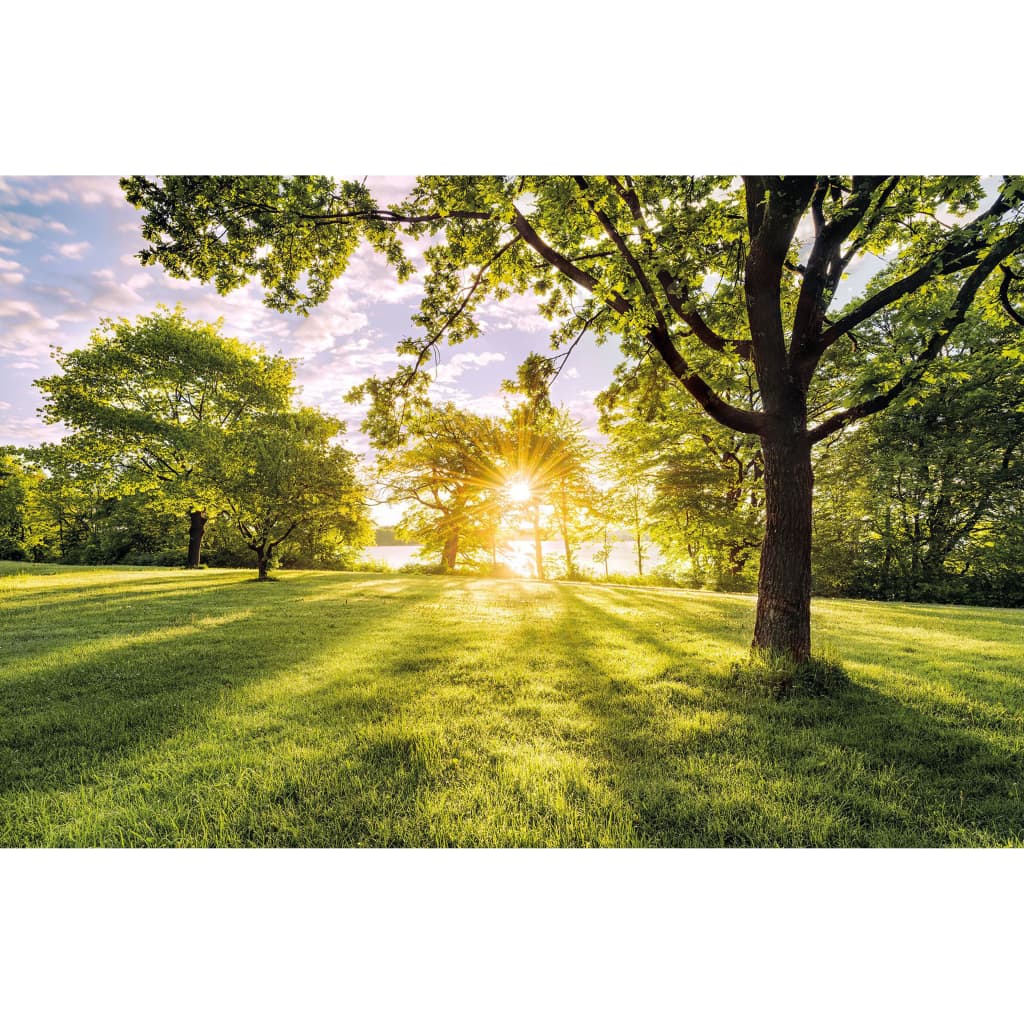 Komar Komar Muurschildering Gouden Moment 400x250 cm