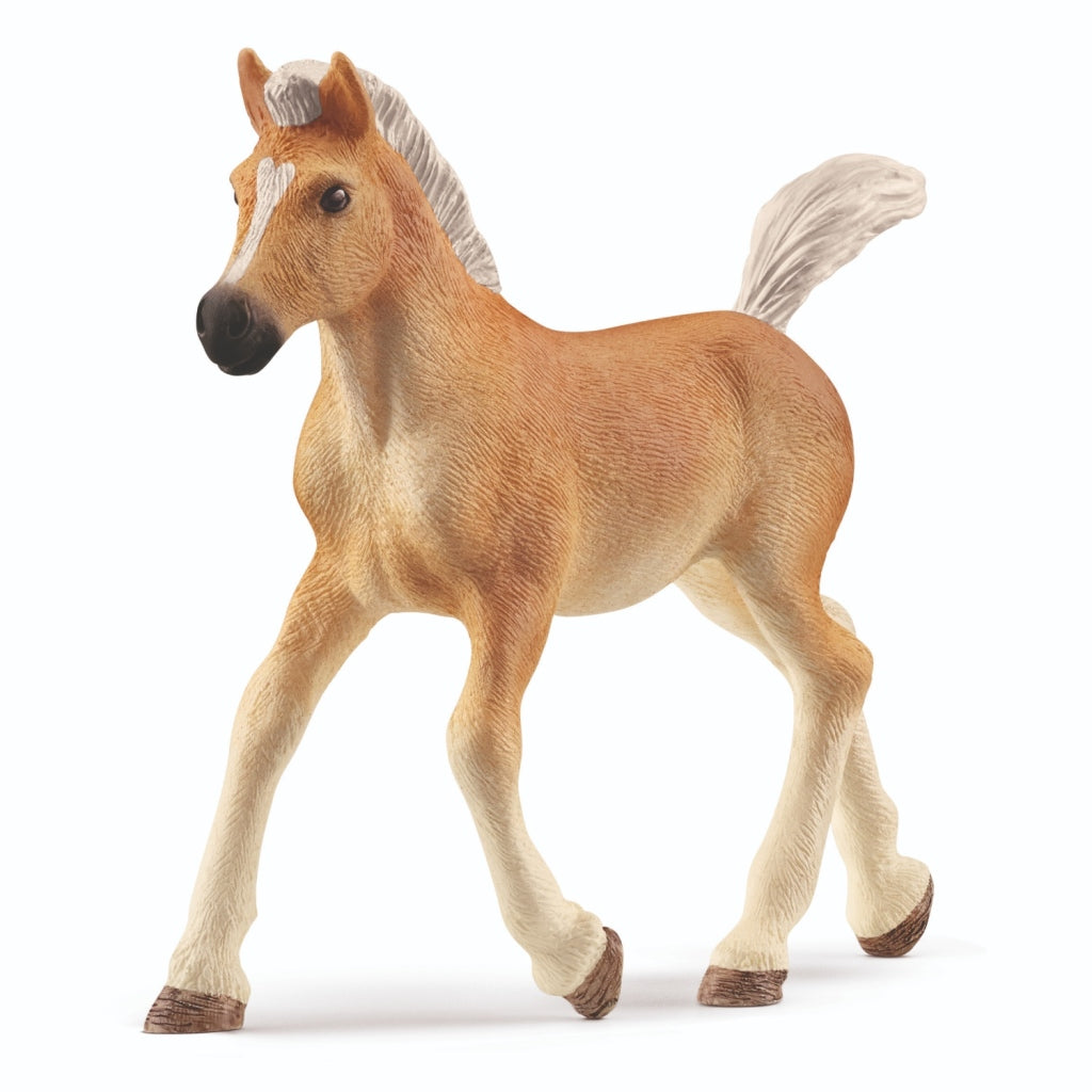 Schleich PAARDENCLUB Halflingerveulen 13951