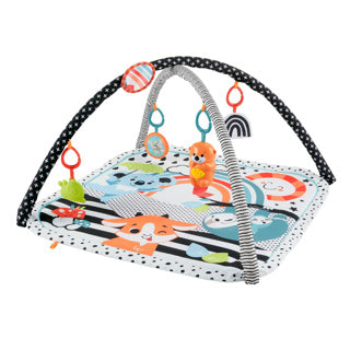 Fisher price new born 3-in-1 glow grow gym