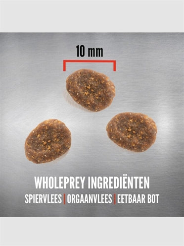 Orijen hele prooi 6 vissen kat