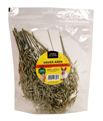 Utopia haver aren