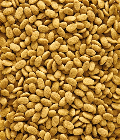 Nutribird P15 origineel onderhoudsvoeder