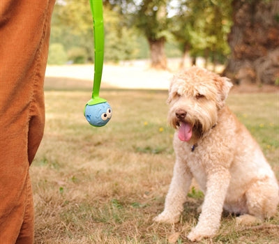 Chuckit de fluiter