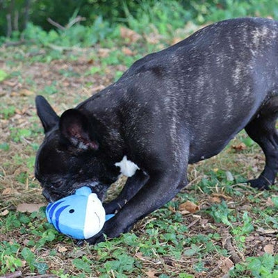 Croci dansende vis pluche