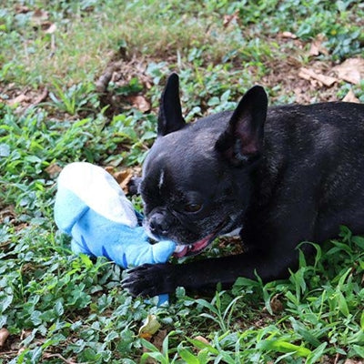 Croci dansende vis pluche