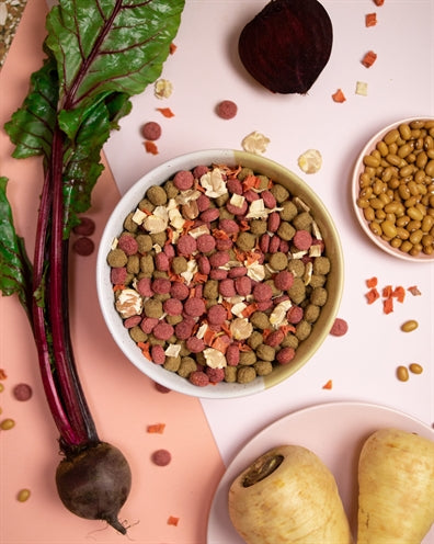 Pawr Plantaardig bietenbooster rode biet pastinaak bonen wortel