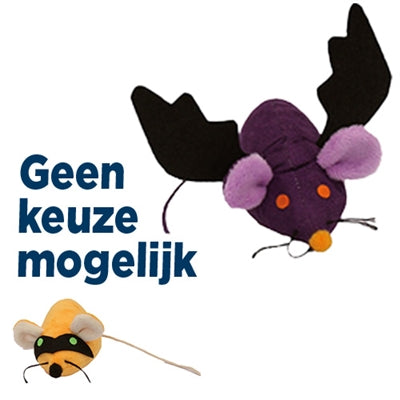 Croci muis lastig kattenkruid assorti