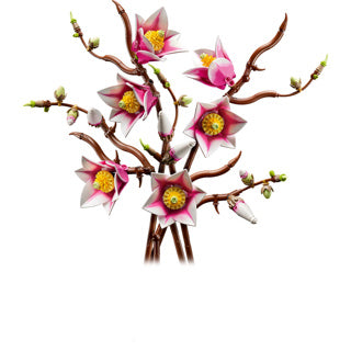Lego botanicals magnoliatakken - 11510