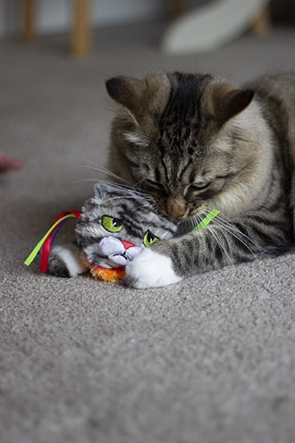 Rosewood Moody moggy regenbooggrijpgoed