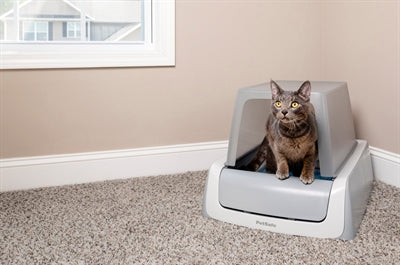 Schepvrije zelfreinigende kattenbak met kap