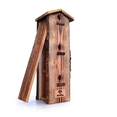 Utopia mussenflat gebrand douglas hout