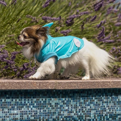 Croci regenjas hond haai lichtblauw