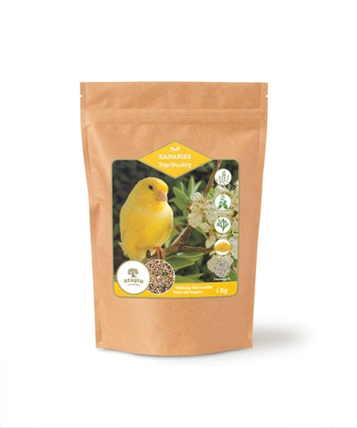 Utopia Kanaries topkwaliteit
