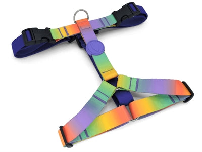 Morso Hondentuig h-tuig gerecycled lentebloesem