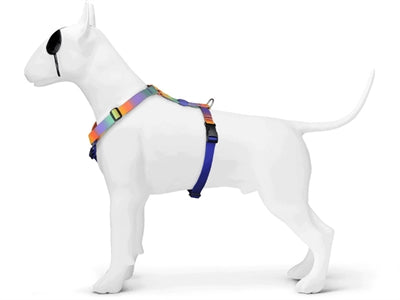 Morso hondentuig h-tuig gerecycled lentebloesem