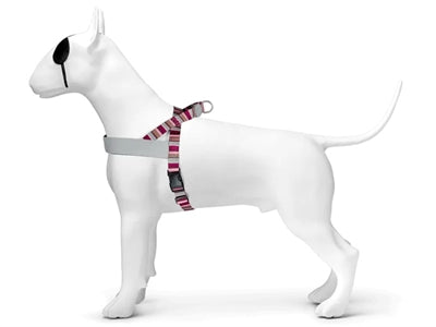 Morso noors hondentuig gerecycled skyline rood roze
