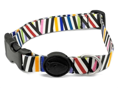 Morso halsband hond gerecycled spaghetti-incident