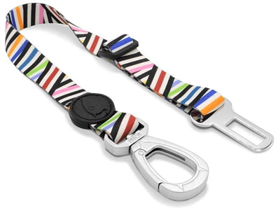 Morso Honden autogordel gerecycled spaghetti-incident