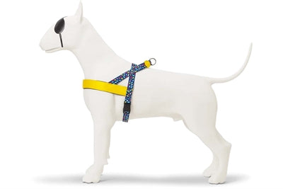 Morso noors hondentuig gerecycled colour invaders paars