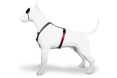 Morso hondentuig h-tuig gerecycled power flow zwart