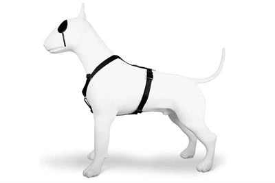 Morso Hondentuig h-tuig gerecycled goud caviar goud