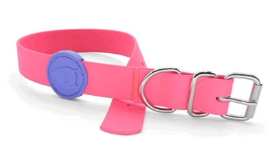 Morso Halsband hond waterdicht gerecycled passion roze roze